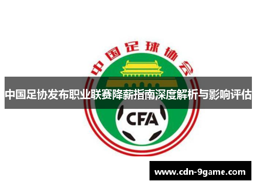 中国足协发布职业联赛降薪指南深度解析与影响评估
