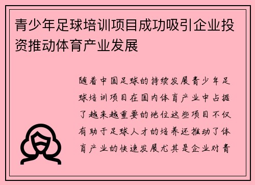 青少年足球培训项目成功吸引企业投资推动体育产业发展 青少年足球培训项目成功吸引企业投资推动体育产业发展